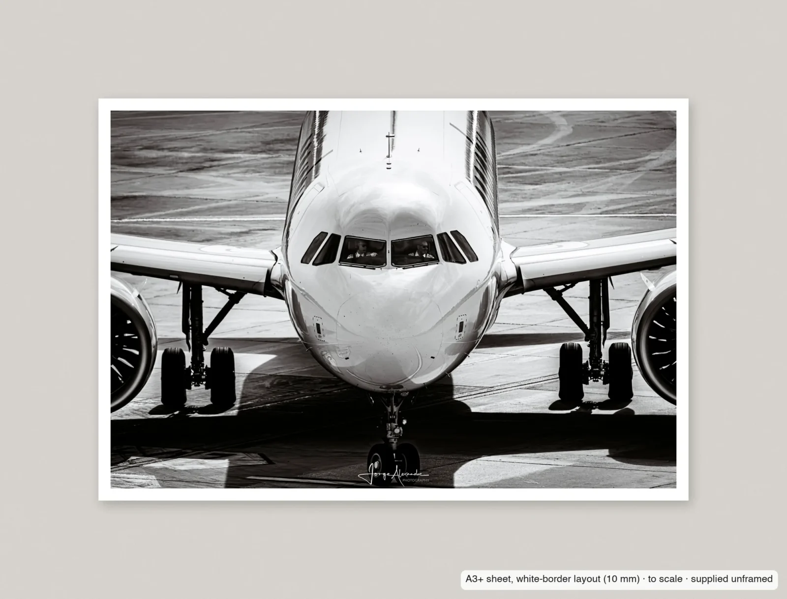 Face to face printed as an A3+ sheet with a 10 mm white border, shown flat and unframed.