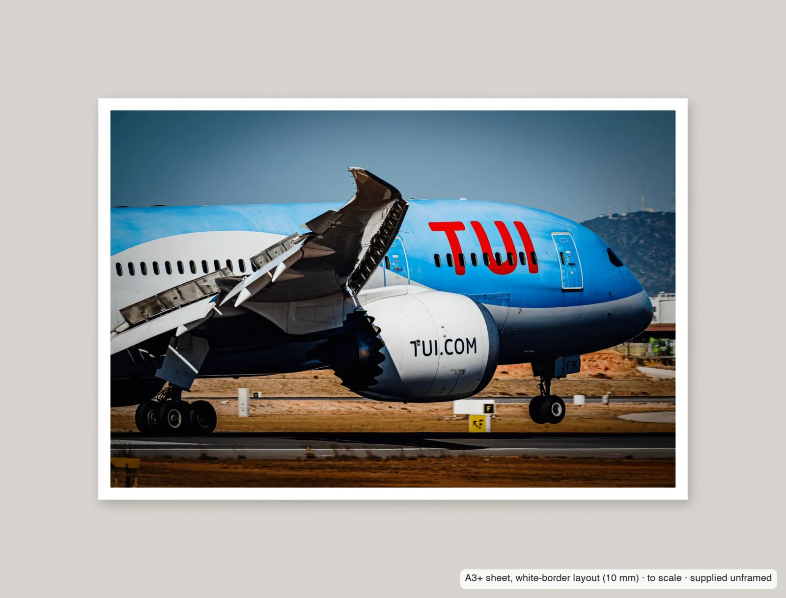 Flaps out, Dreamliner printed as an A3+ sheet with a 10 mm white border, shown flat and unframed.