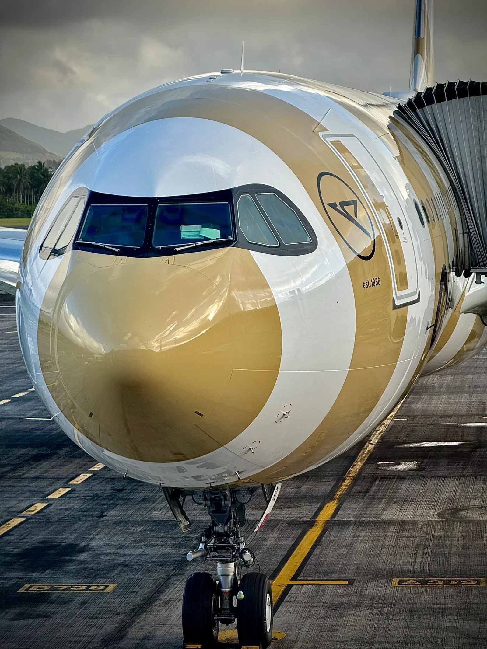 Nose of a Condor widebody aircraft in a gold and white striped livery, parked at a jet bridge.