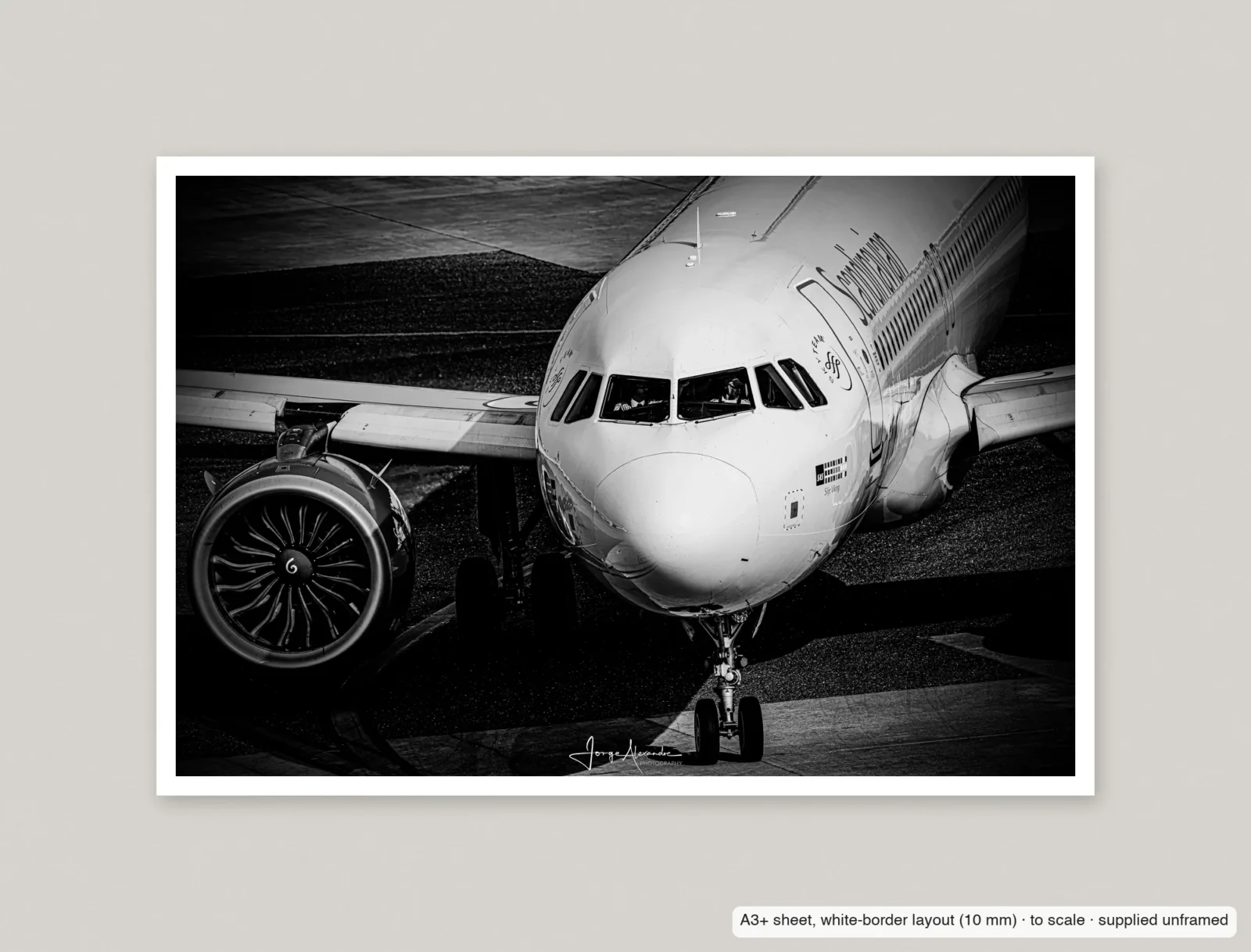 Silver and shadow printed as an A3+ sheet with a 10 mm white border, shown flat and unframed.